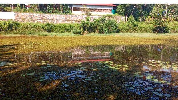 kulam