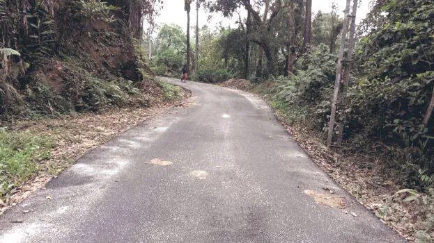 aluva