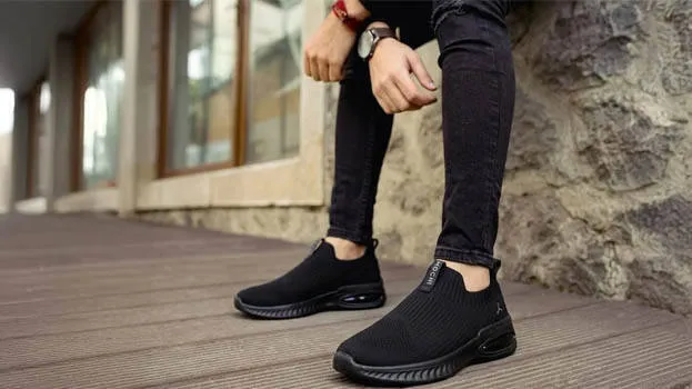 shoe shoe