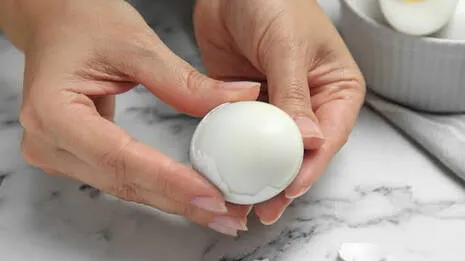 egg.1.3852517