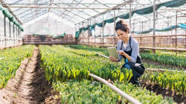 agriculture-study