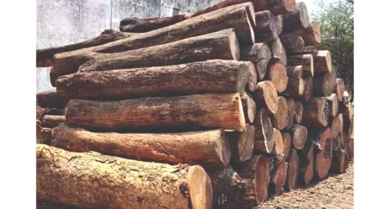 wood