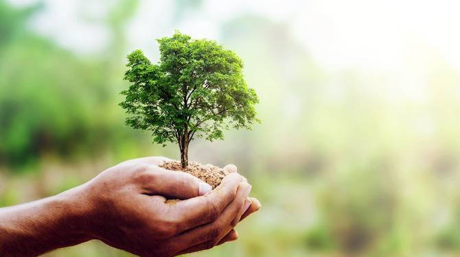 green