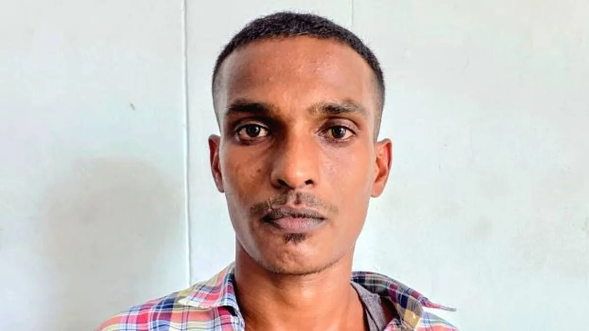 nandu
