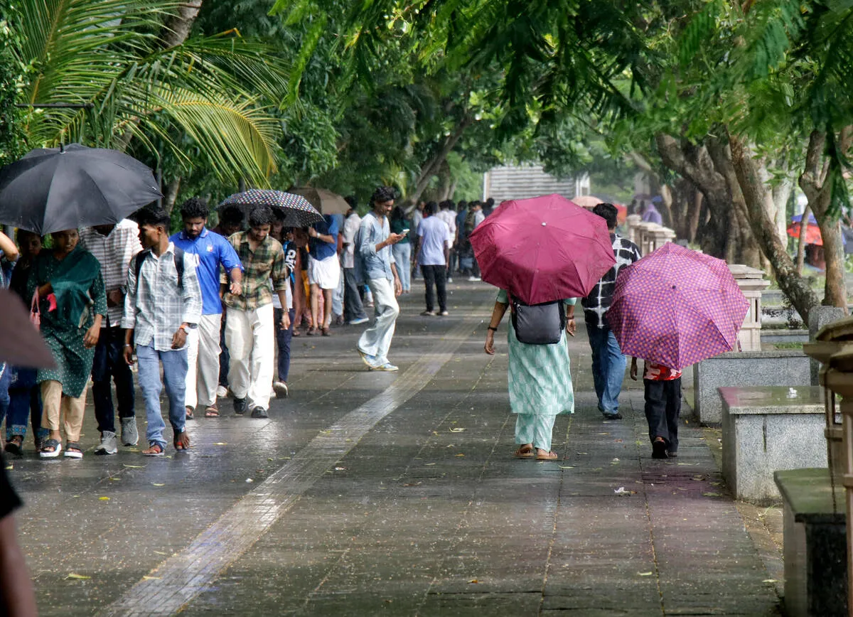 rain