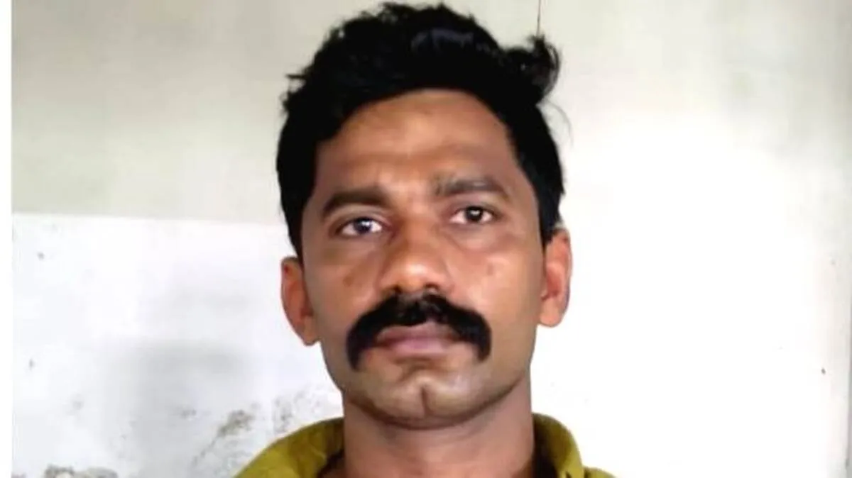 safeer