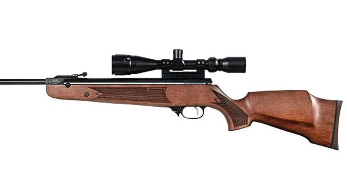 gun
