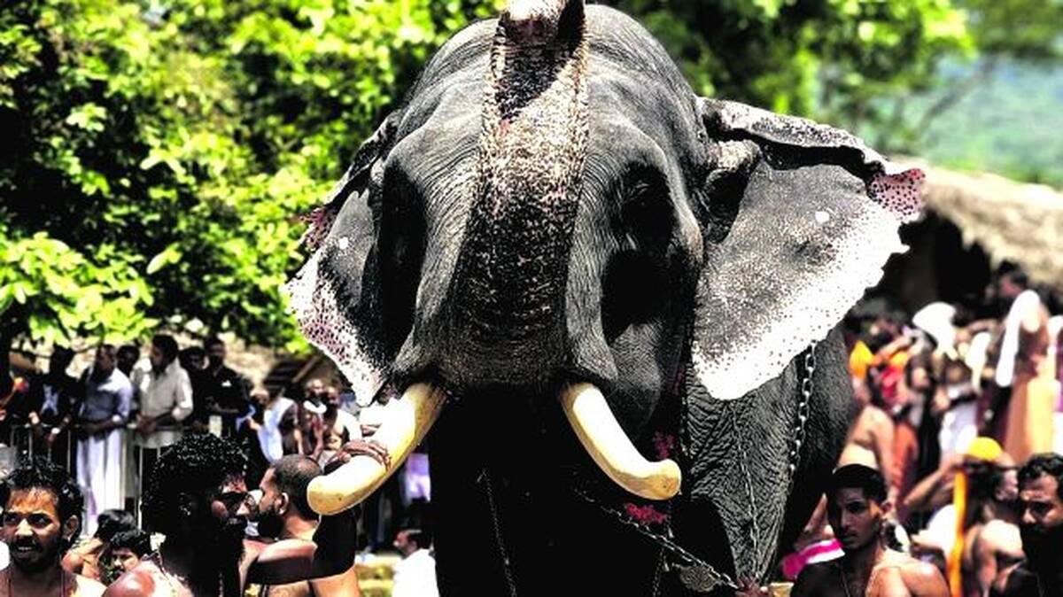 perumal