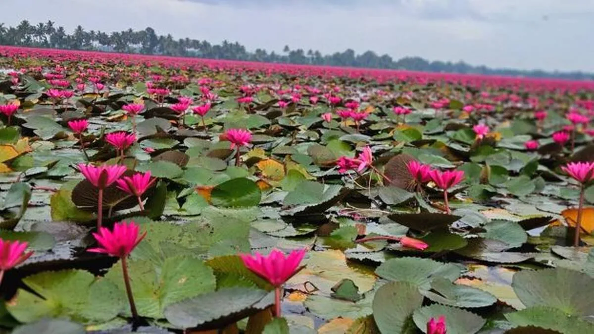 kadamabadam- kadamabadam-