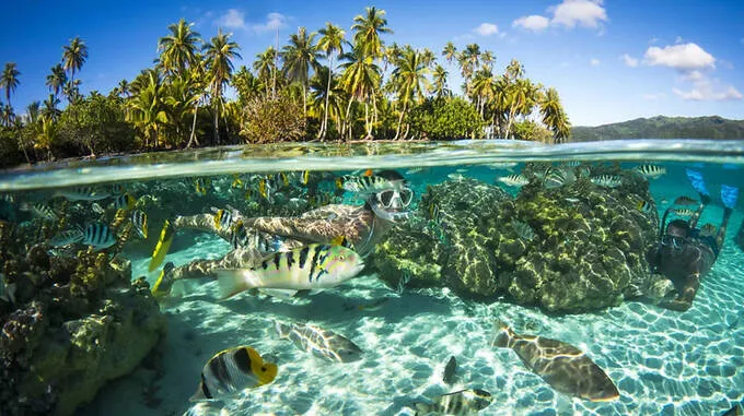 moorea-island