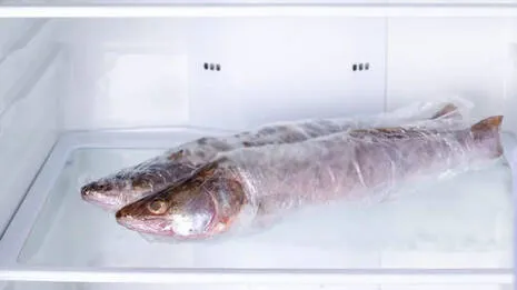 fish.1.3862599