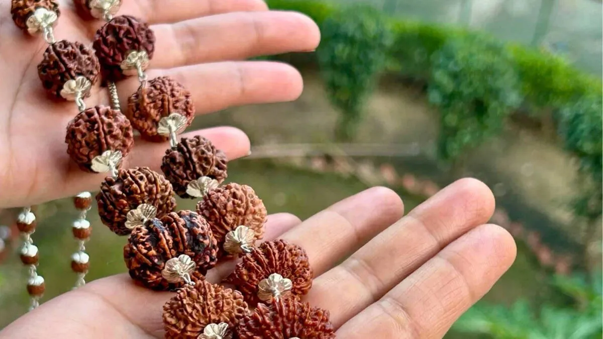 rudraksha
