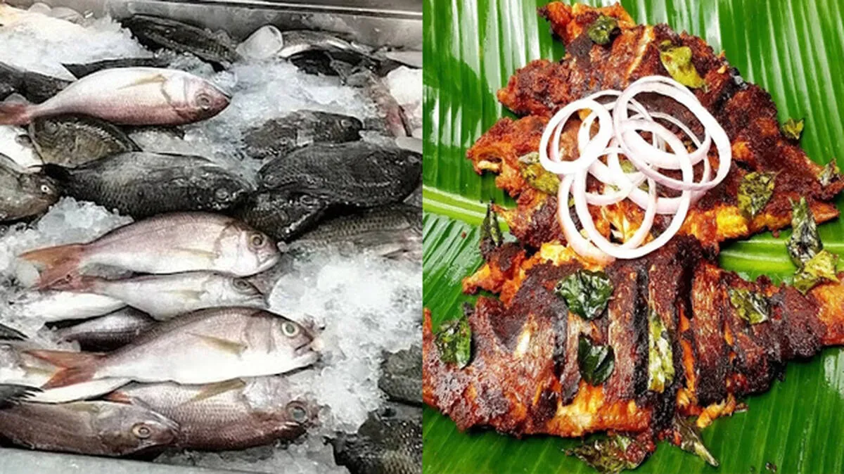 fish