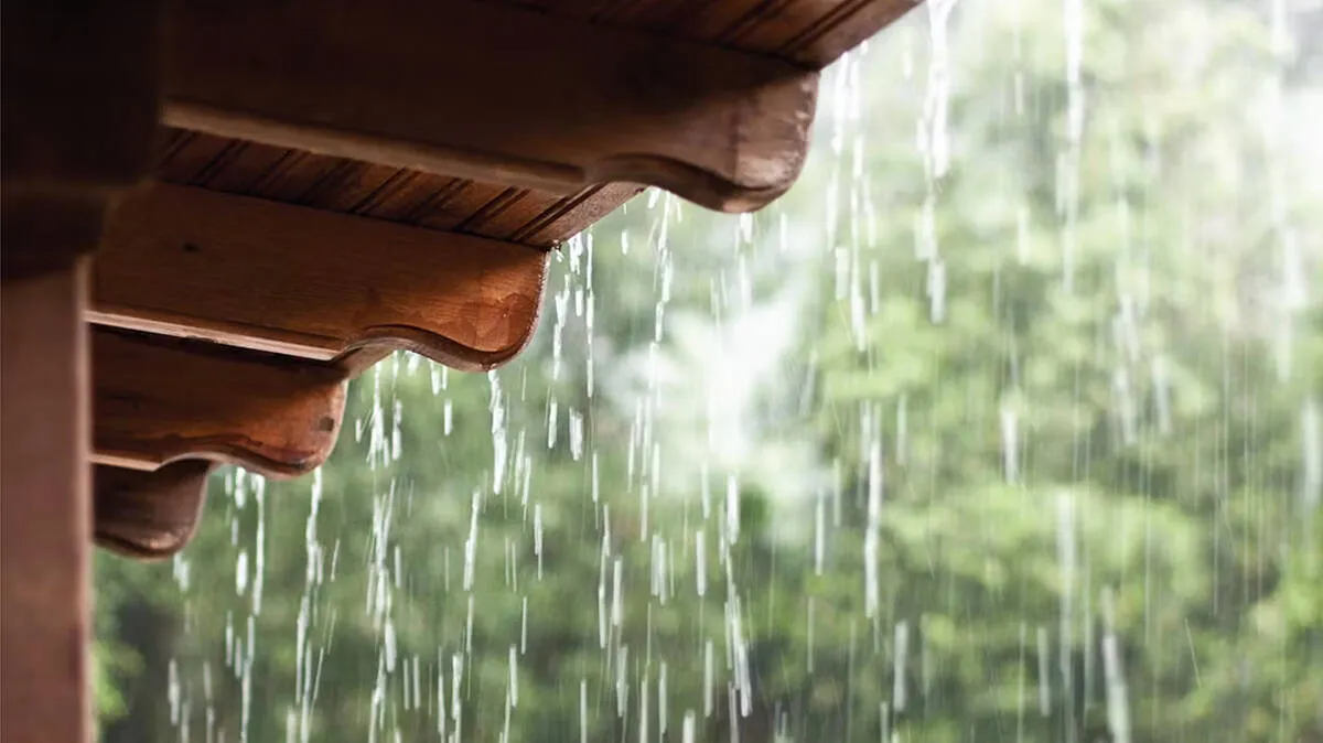 rain