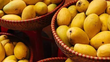 mango.1.3870434