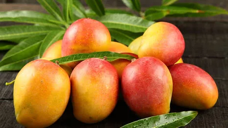 mango.1.3870902