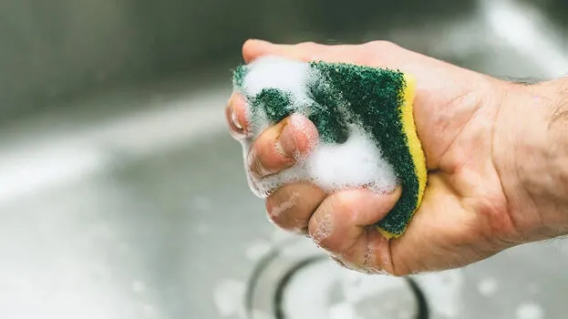 kitchen-sponge