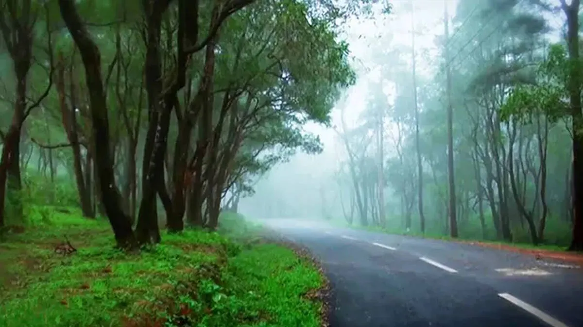 road-condition