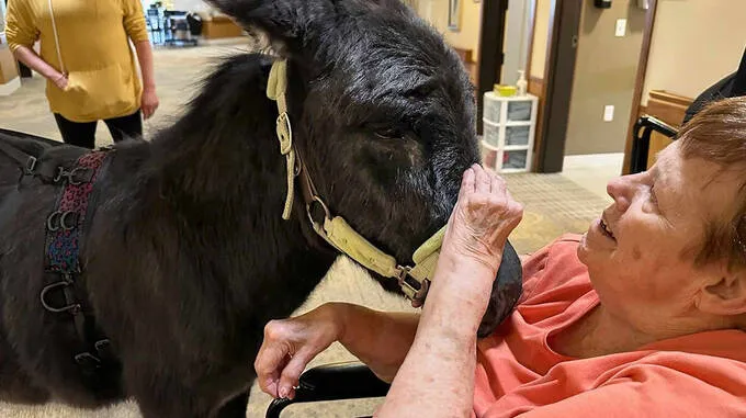 patient