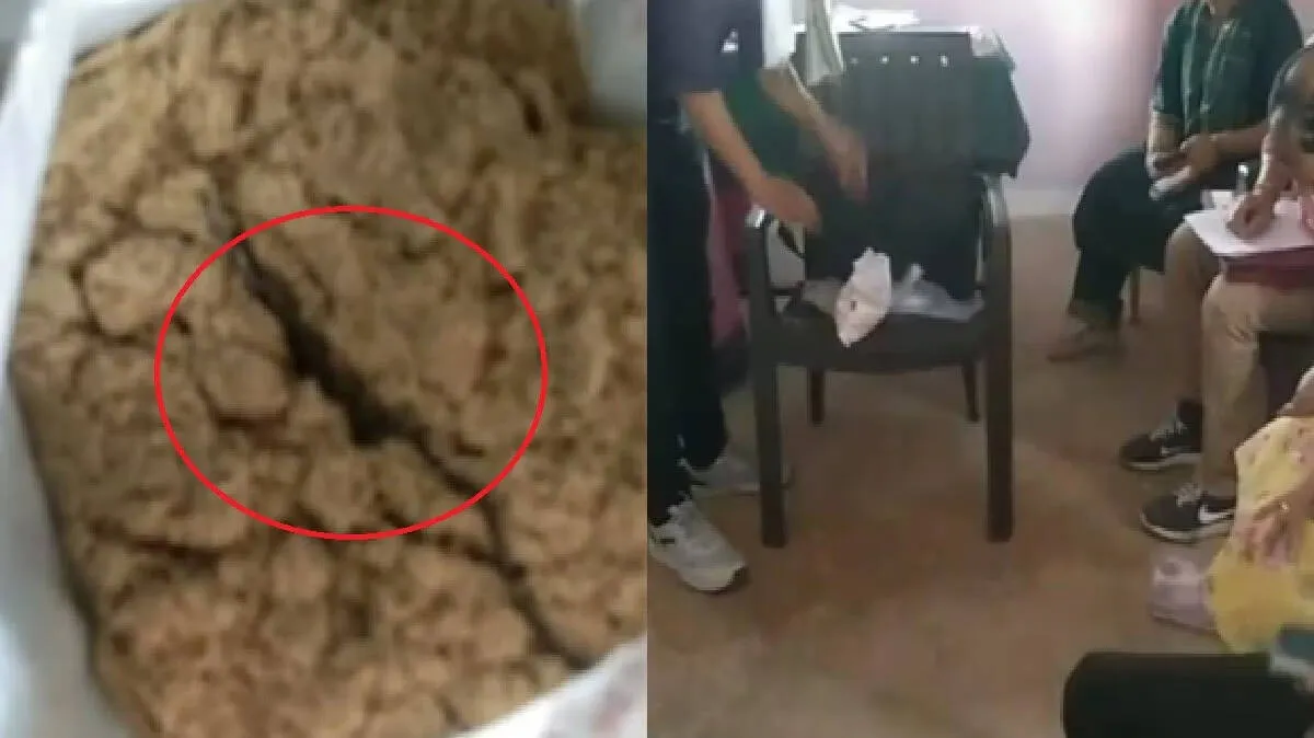 dead-snake