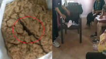 dead-baby-snake-found-in-anganwadi-nutrition-food-packet-in-madhyapradesh