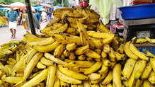 increase-in-demand-babana-price-rising