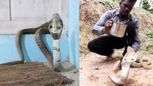 snakemaster