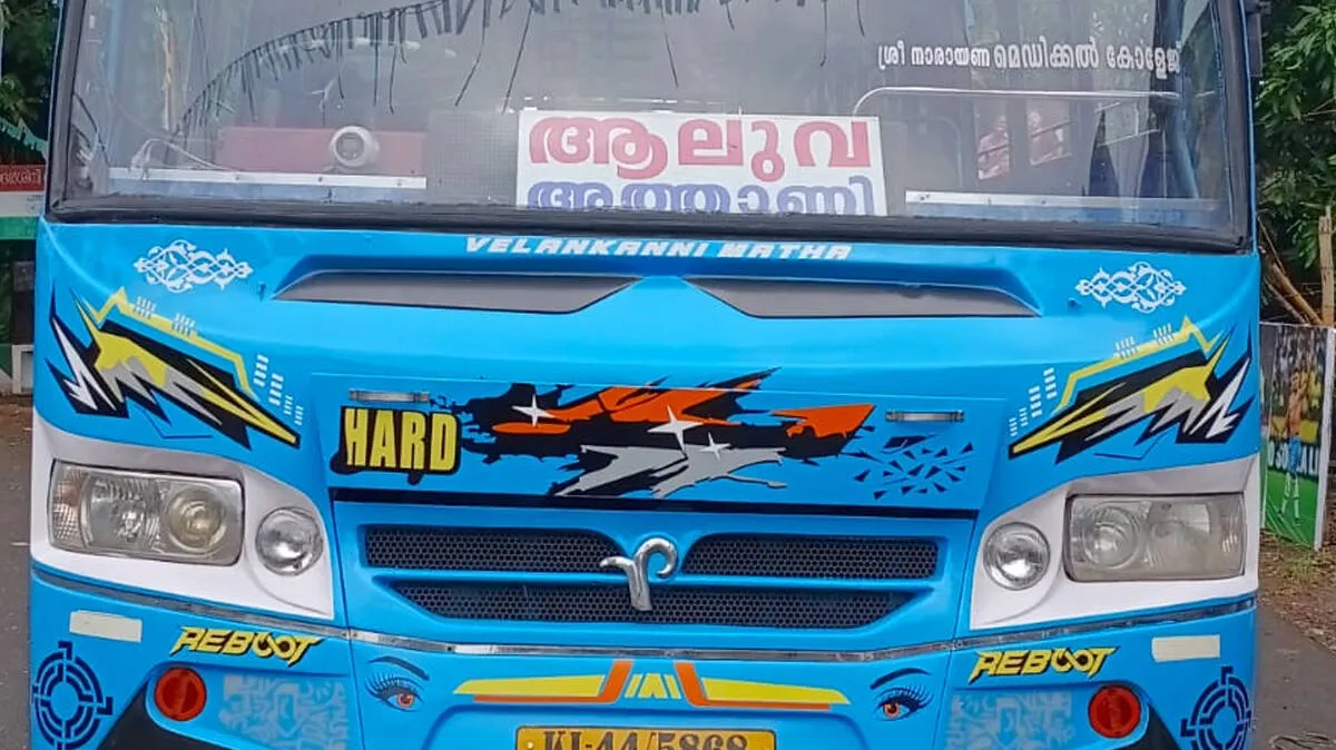 bus bus