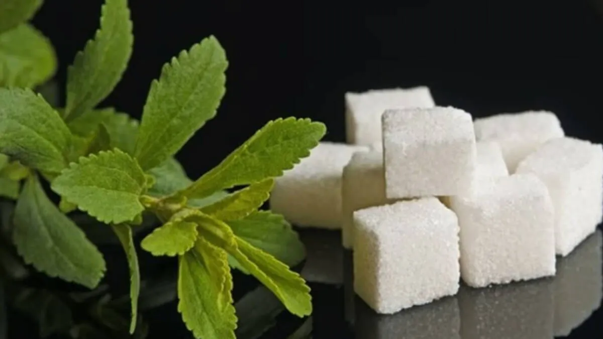 -stevia-sugar-plant-