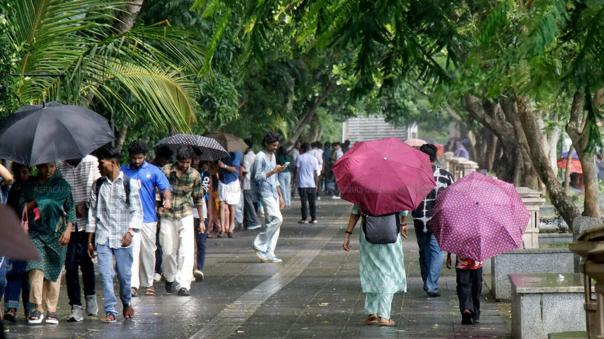 rain-