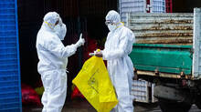 nipah-and-shigella-updates-in-kerala