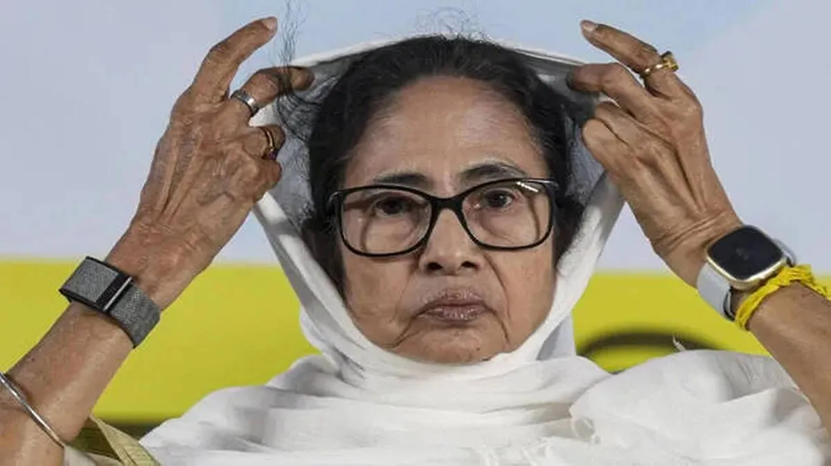 mamata mamata