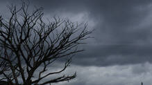 orange-alert-for-two-districts-in-kerala-on-june-29