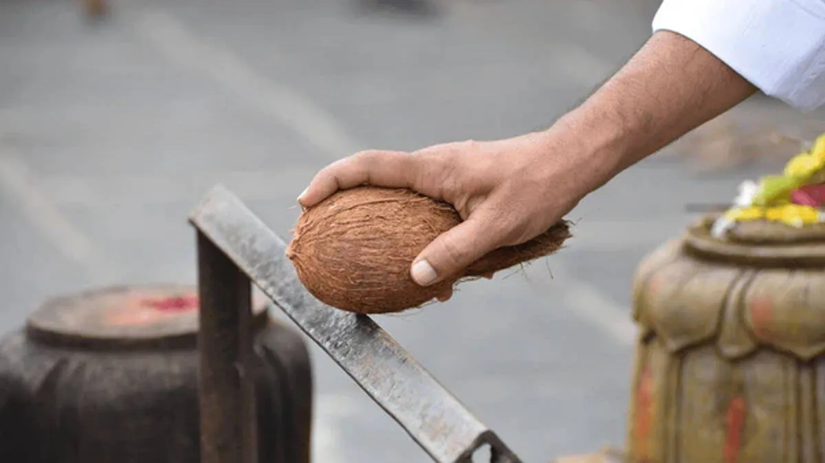 coconut
