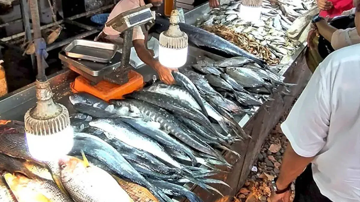 fish