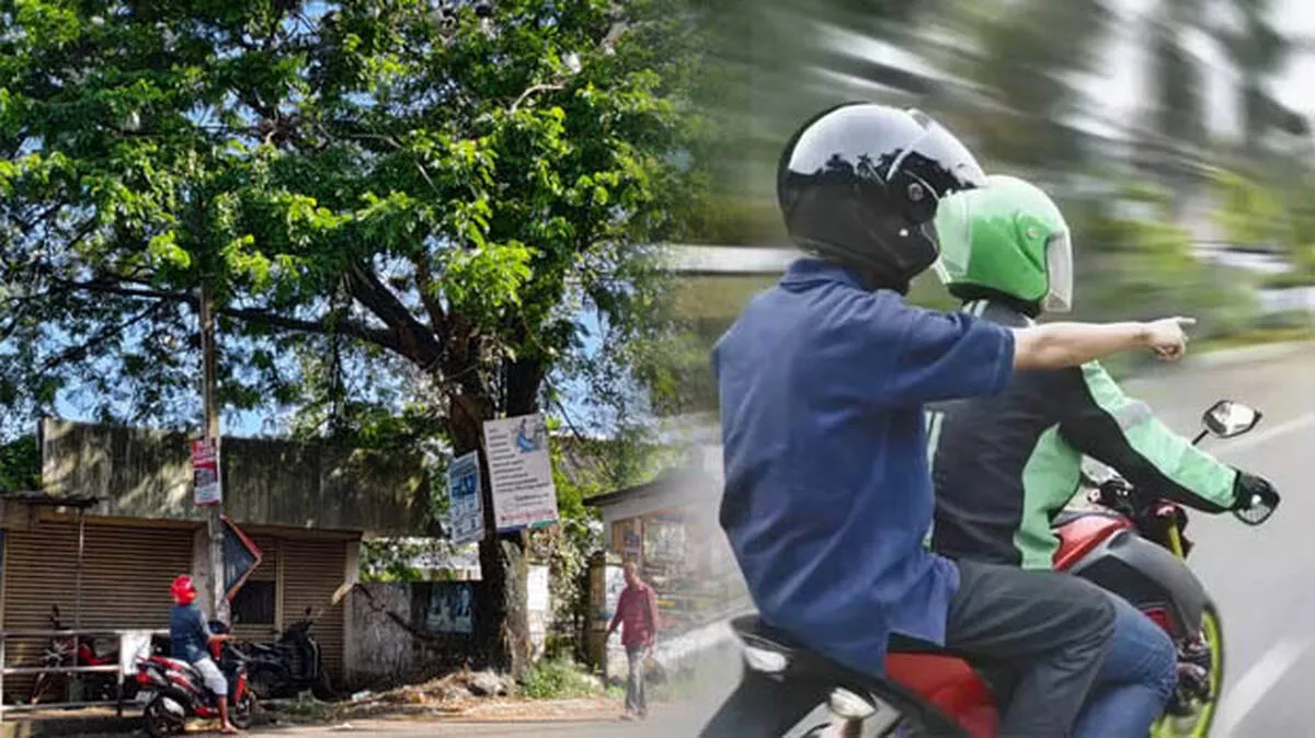 ദുരിതം അനുഭവിക്കുന്നത് ഇരുചക്ര വാഹനക്കാരും ബസ് നോക്കി നിൽക്കുന്നവരും, ഭയപ്പാടിൽ നാട്ടുകാർ