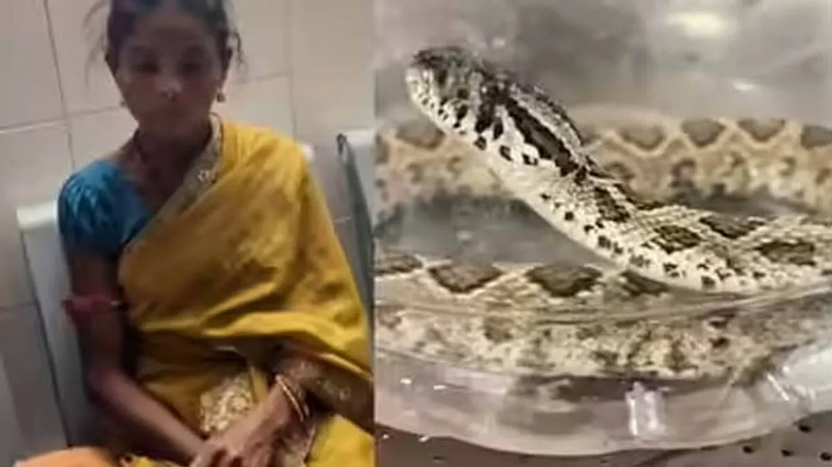 കടിച്ച പാമ്പേതെന്നറിയാൻ ഒട്ടും പ്രയാസപ്പെടേണ്ട, അണലിയെ പാത്രത്തിലാക്കി ആശുപത്രിയിലെത്തി ചികിത്സ തേടി വീട്ടമ്മ