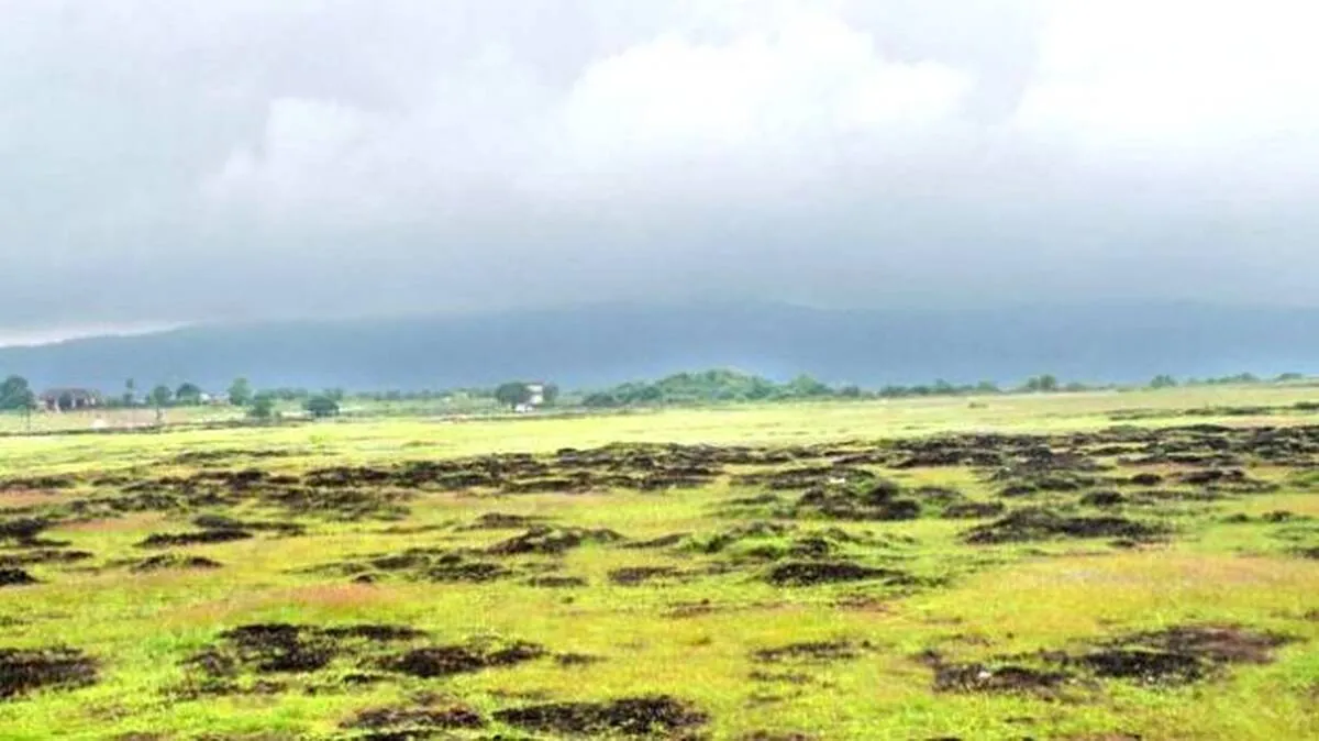 aa