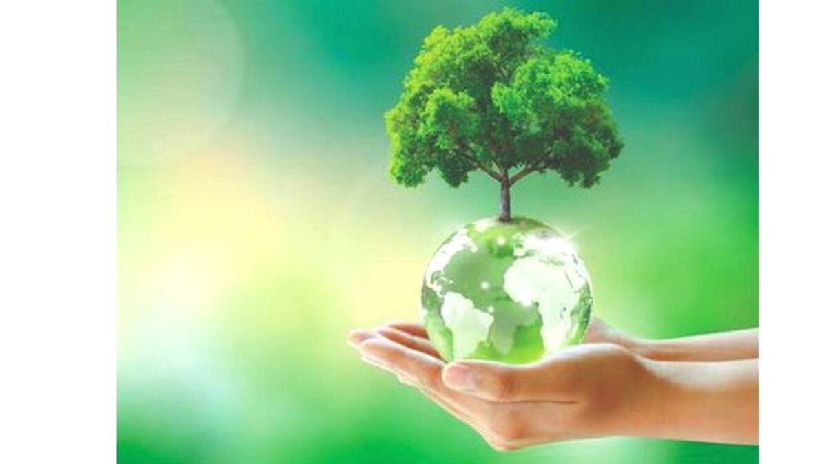 environment
