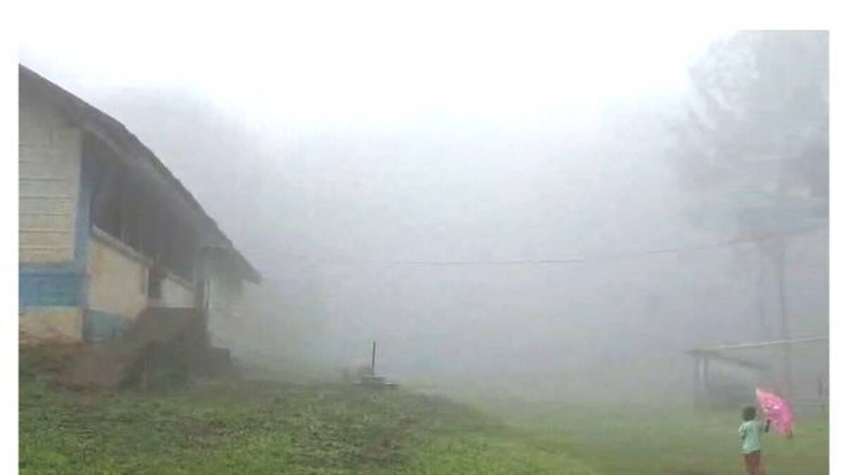 nelliyampathy