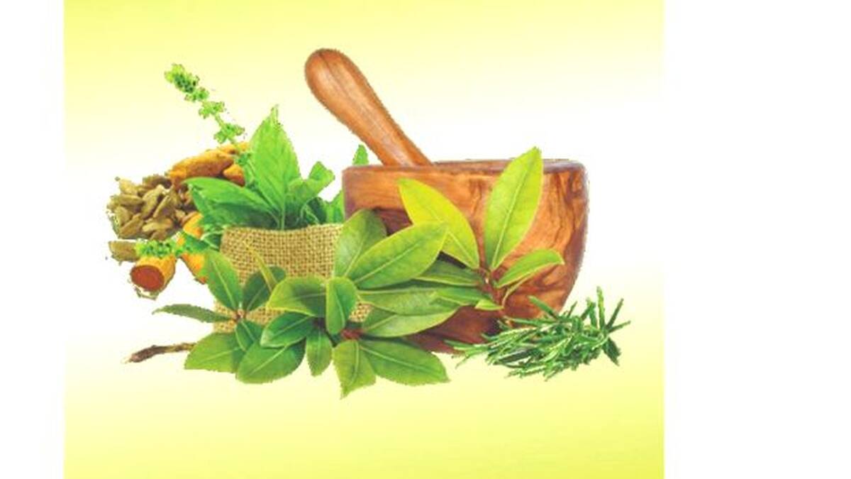 ayurveda
