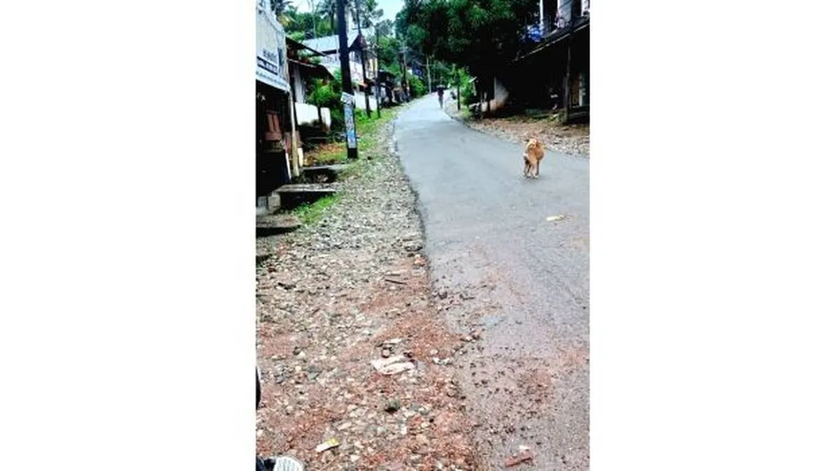 photo1 photo1