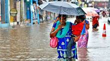 rain