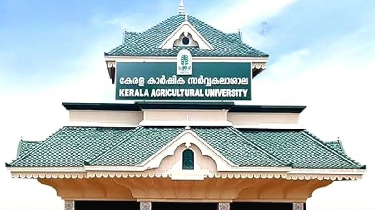 kau