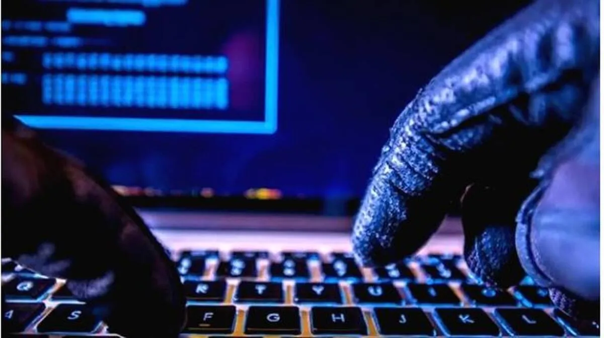 cyber-fraud