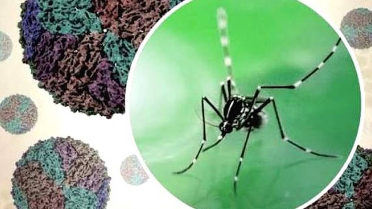 aa