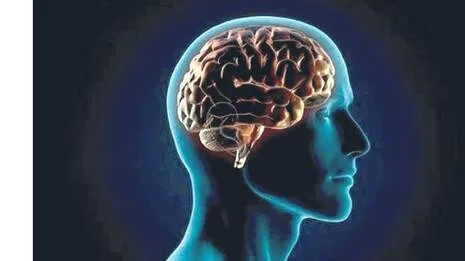 brain.1784983665