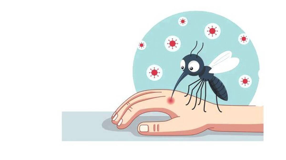 dengue