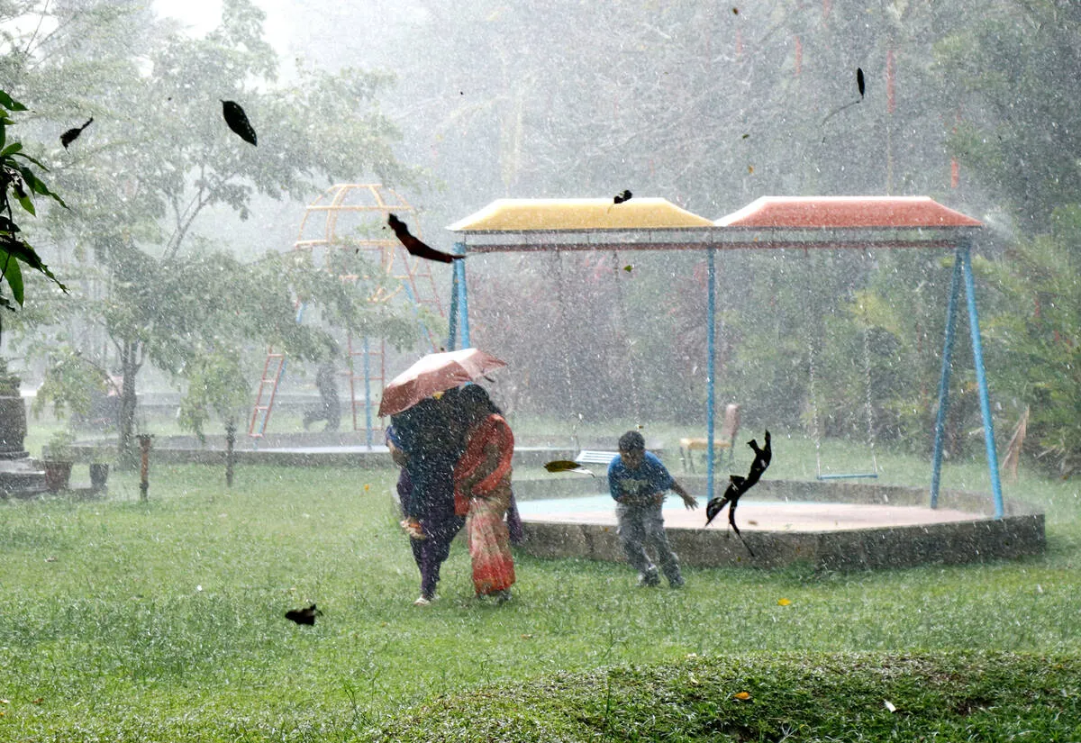 rain