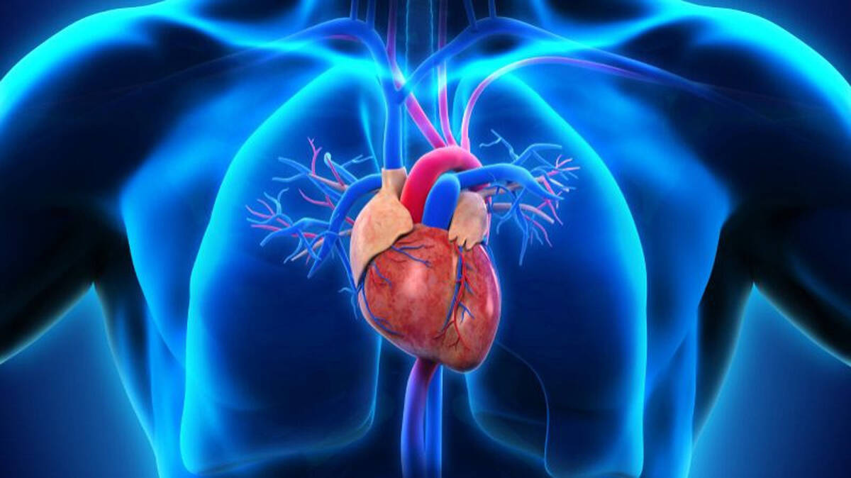 heart